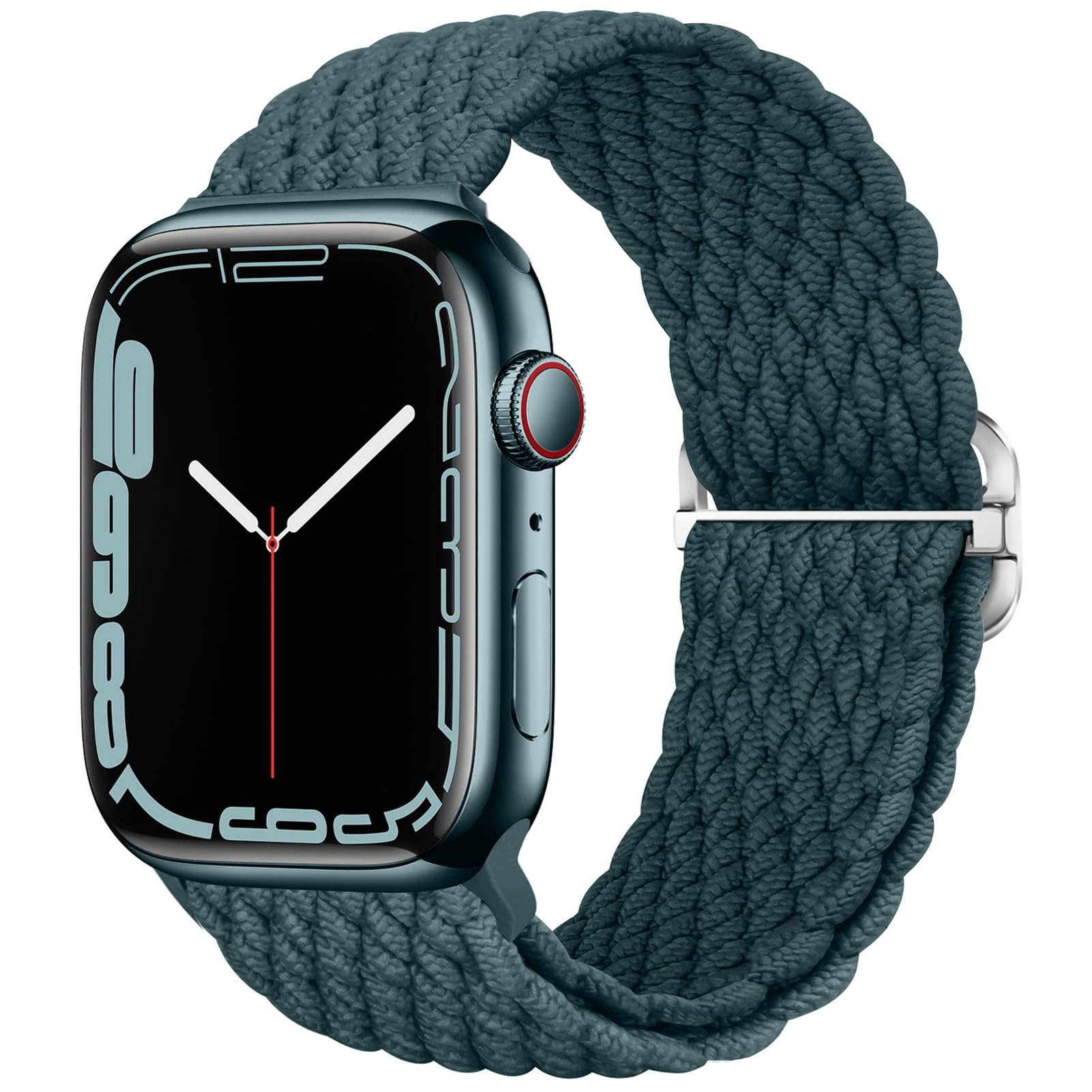 Rainforest 38mm/40mm/41mm/42mm(Series 10) Best apple watch bands in use, Apple watch band , Applewatchbands.us